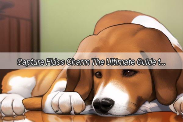 Capture Fidos Charm The Ultimate Guide to Perfect Dog ID Photo Crafting